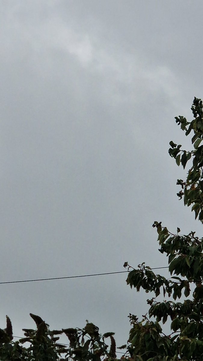 McGeochDavid's tweet photo. @WindyWilson88 quite a storm down in Englandshire, Peterborough way! 7/800 strikes in a 5km square 😳. Getting really dark in Dumfries now https://t.co/5OJ7Pc7x3f