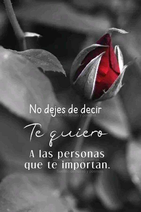 Neyda21708001's tweet photo. #UnionChinaYVenezuela
@NicolasMaduro @Mippcivzla @VTVcanal8 @PartidoPSUV @f_ney @Neyda21708001 @neydaf1 @APCG_Seniat @canalpatriadig @CarnetDLaPatria @dagasre @Danieli405 @delcyrodriguezv @delvall63065286 @dennisa72210677 @DianaJosefinaI4 @dixondavidtova1 @DobleVB @dumirtwi https://t.co/9yYtkts97v
