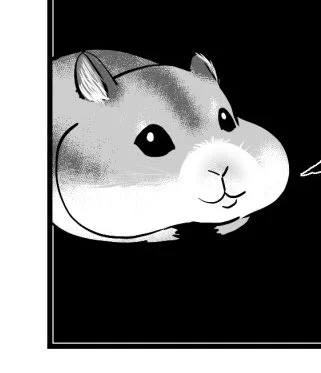 ハムスター難しい🐹 