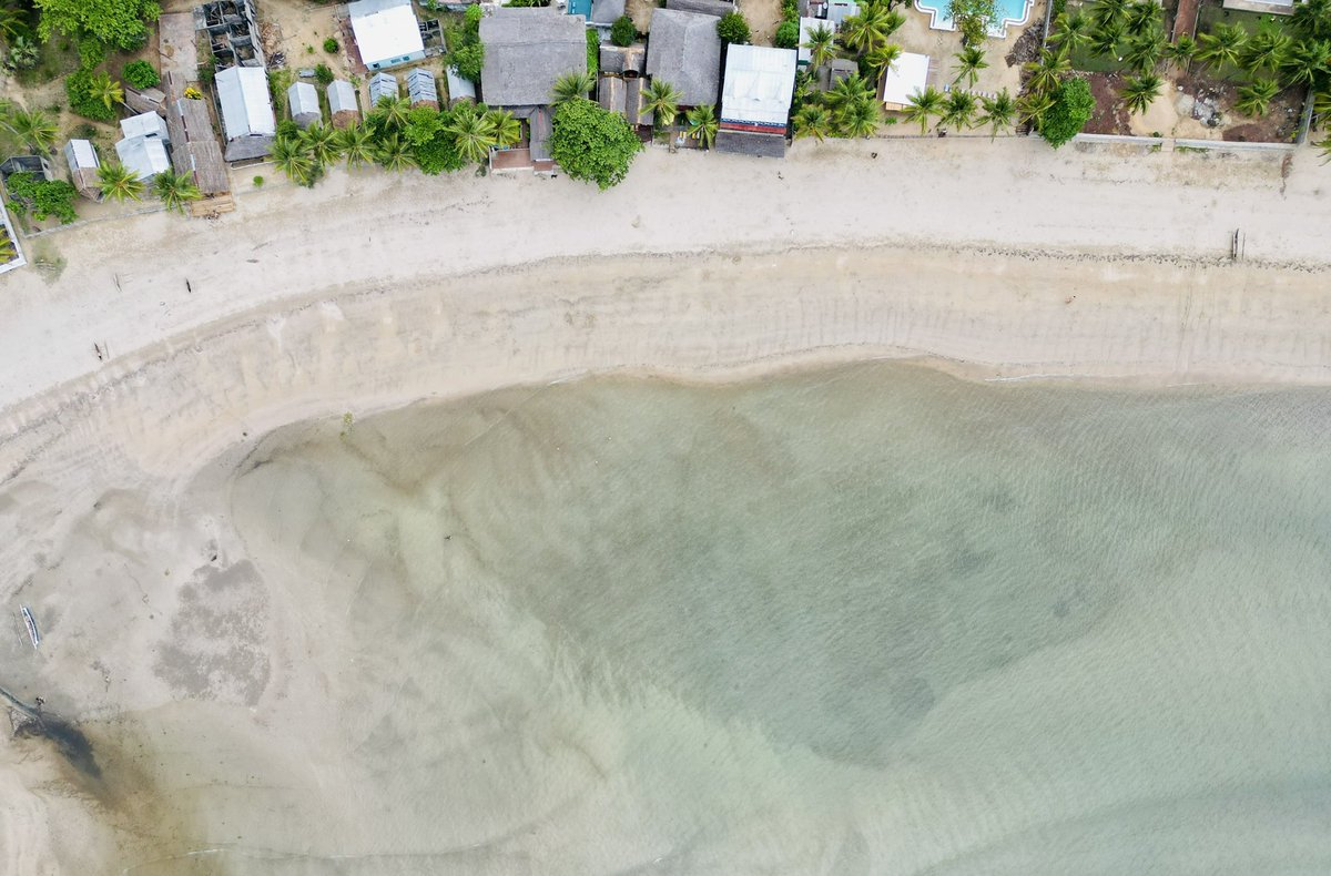 Tojo Ramino tweet media