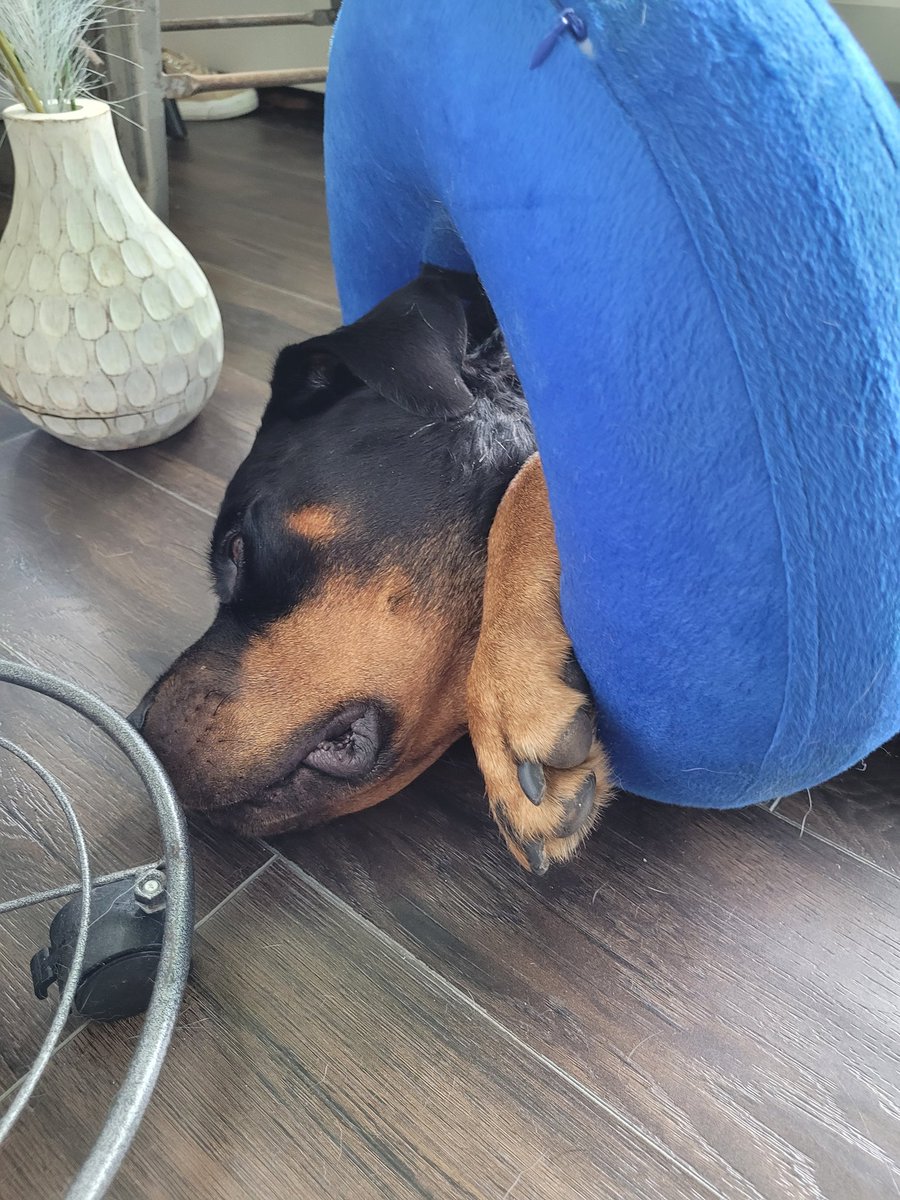 thereal16482192's tweet image. Umm Xenia I don't think that this was how your come was intended to be (⁠눈⁠‸⁠눈⁠)