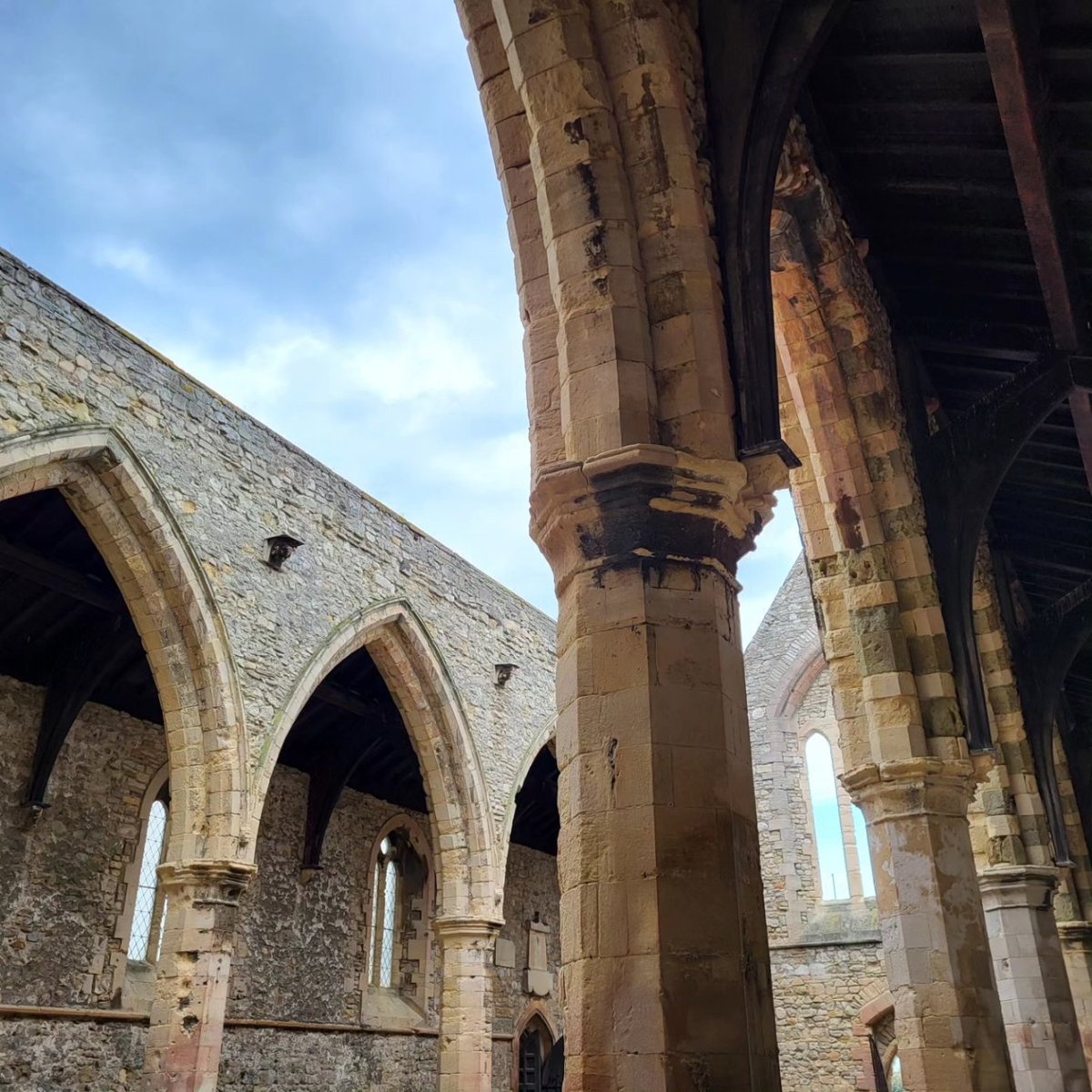 Steven Osborn tweet media