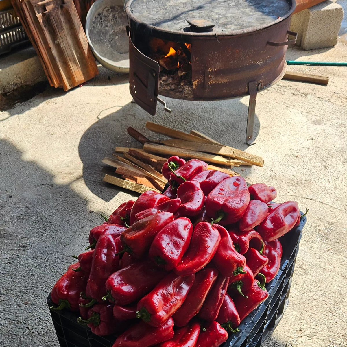 Pelagonia_Range's tweet photo. 4 days touring the country,
sampling the culinary delights 
and absorbing the sights.

It was an absolute pleasure to host our @waitrose prize winners Kit &amp; Antonia this weekend on another magical Macedonian food &amp; wine tour 🇲🇰.

They will be back again we have no doubts. https://t.co/6oIBN9A90l