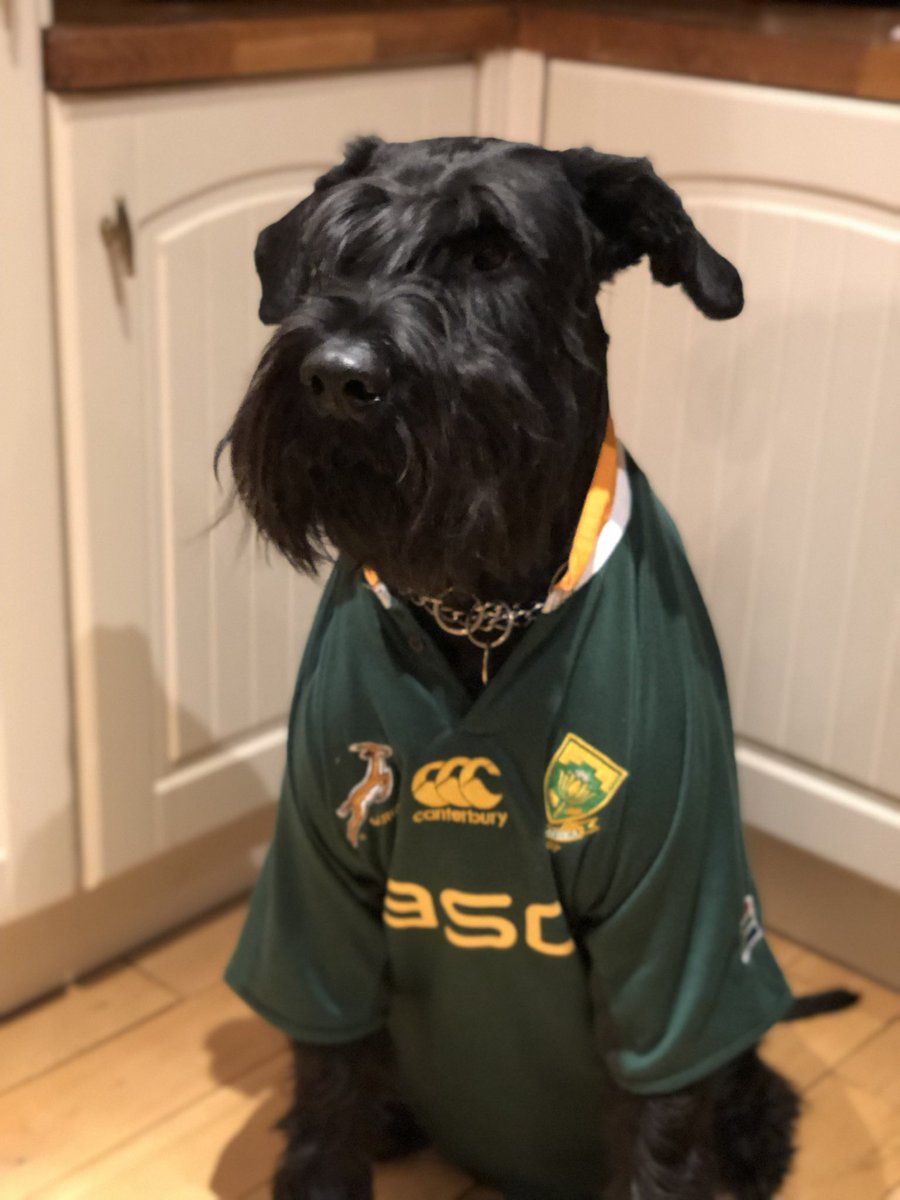 gekerold's tweet photo. Come on Bokke https://t.co/ND6dm3lz2h