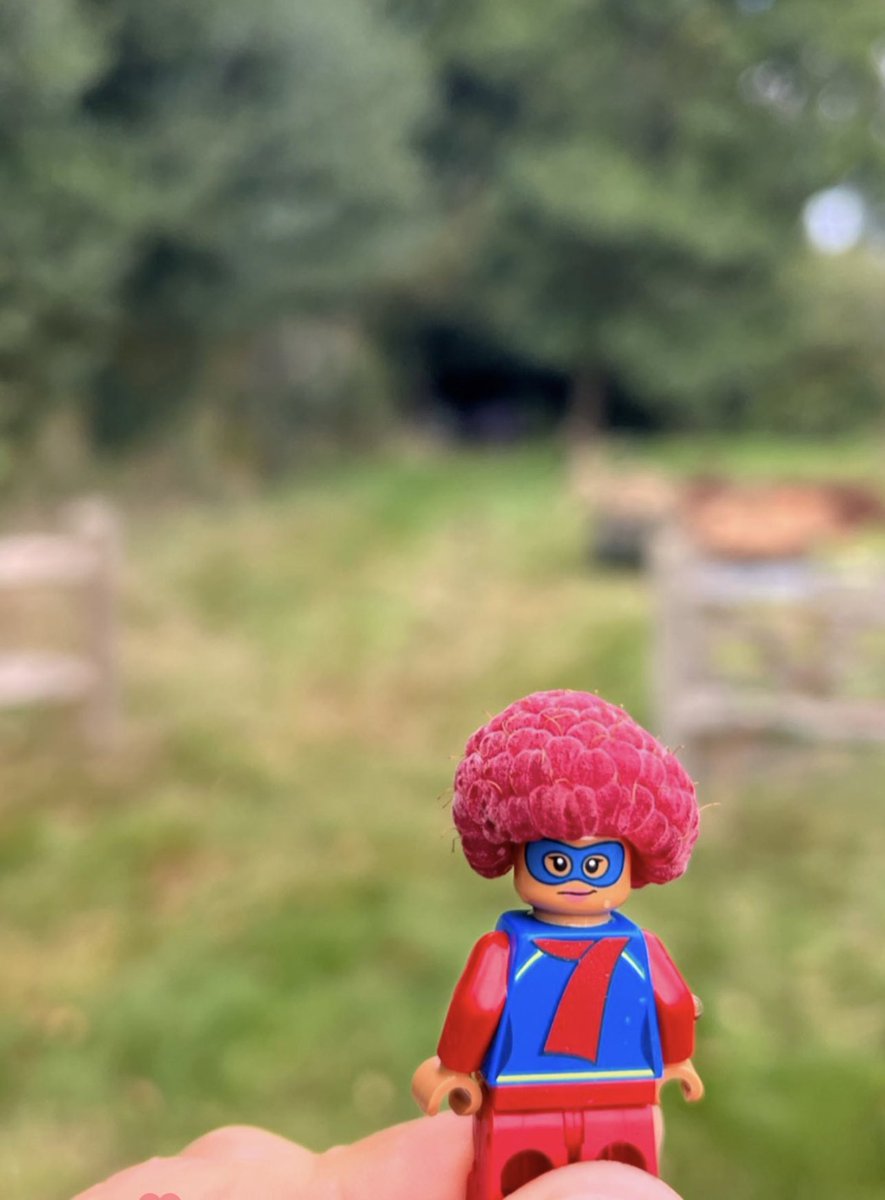 thebodycoach's tweet photo. Raspberries make really hilarious haircuts for Lego 😂😂 https://t.co/9gt9zQtPMJ