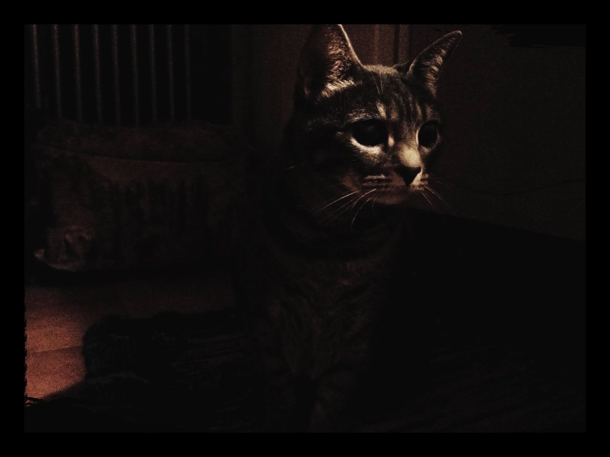 lgrimaz's tweet image. Today's mood

📷 Tina