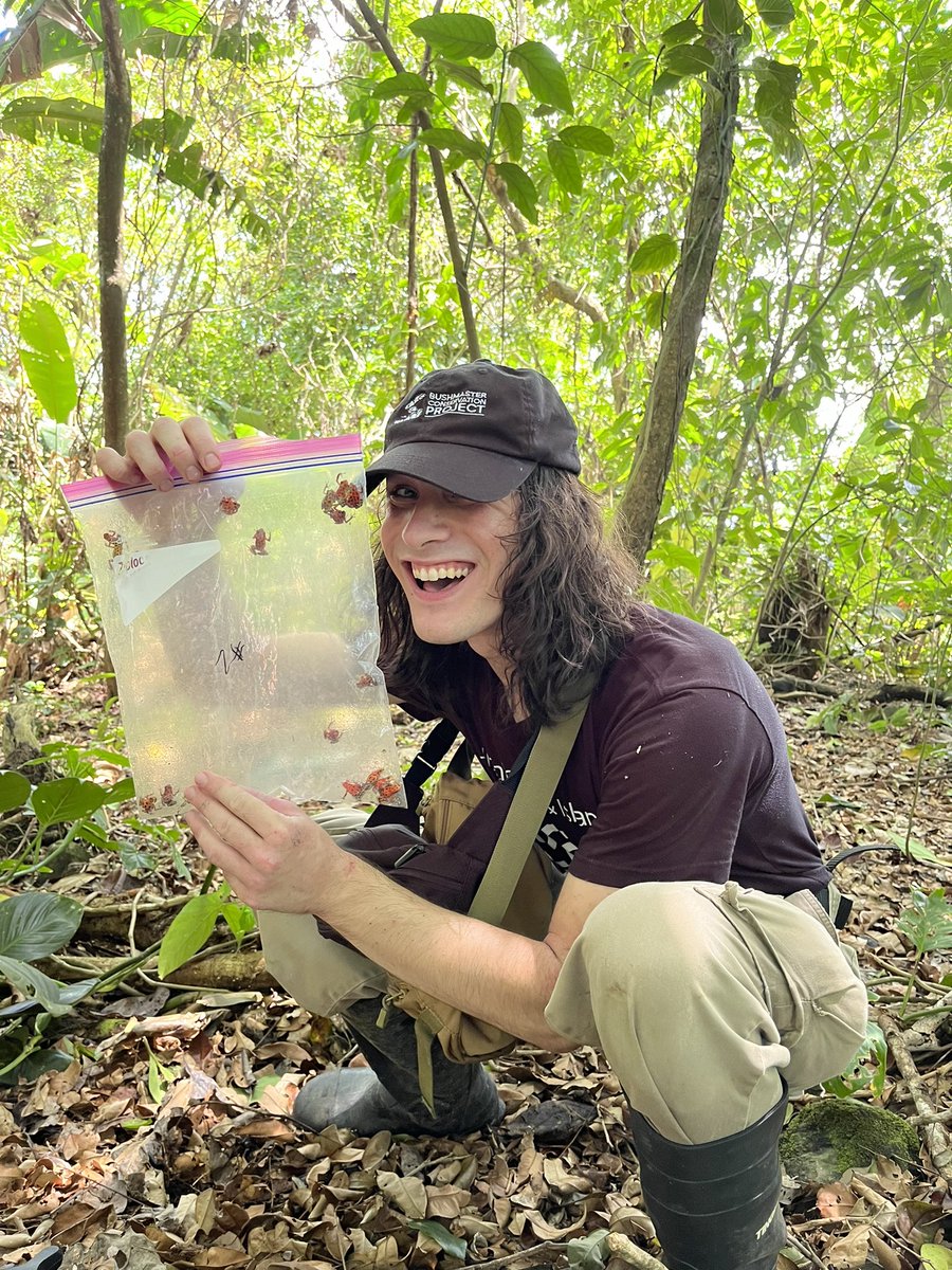 Simon Harper tweet media