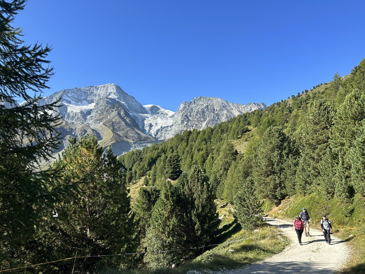 ProfPHaygarth's tweet photo. Day 2 of @LancsUniLEC #LECalpine 🇨🇭field course complete. One student says🧑🎓: “…the best field course I’ve ever been on”. I’ll take that 🙏@John_Quinton @HannahWalling98 @FGSE_UNIL . So far so good …hard work paying off 👌 https://t.co/minPN0tuwC