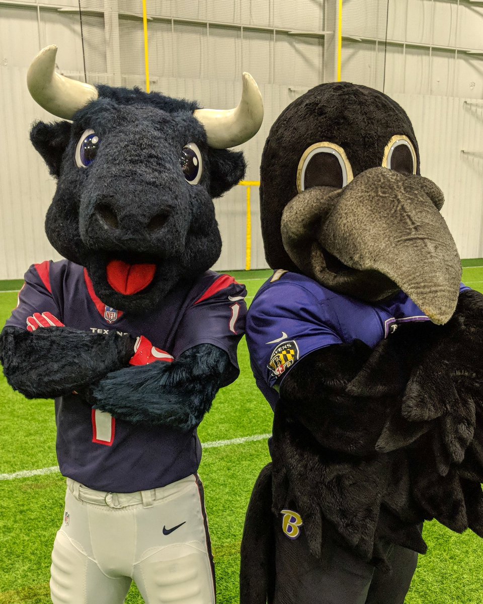 i doubull dog dare u to caption this photo!

#houvsbal