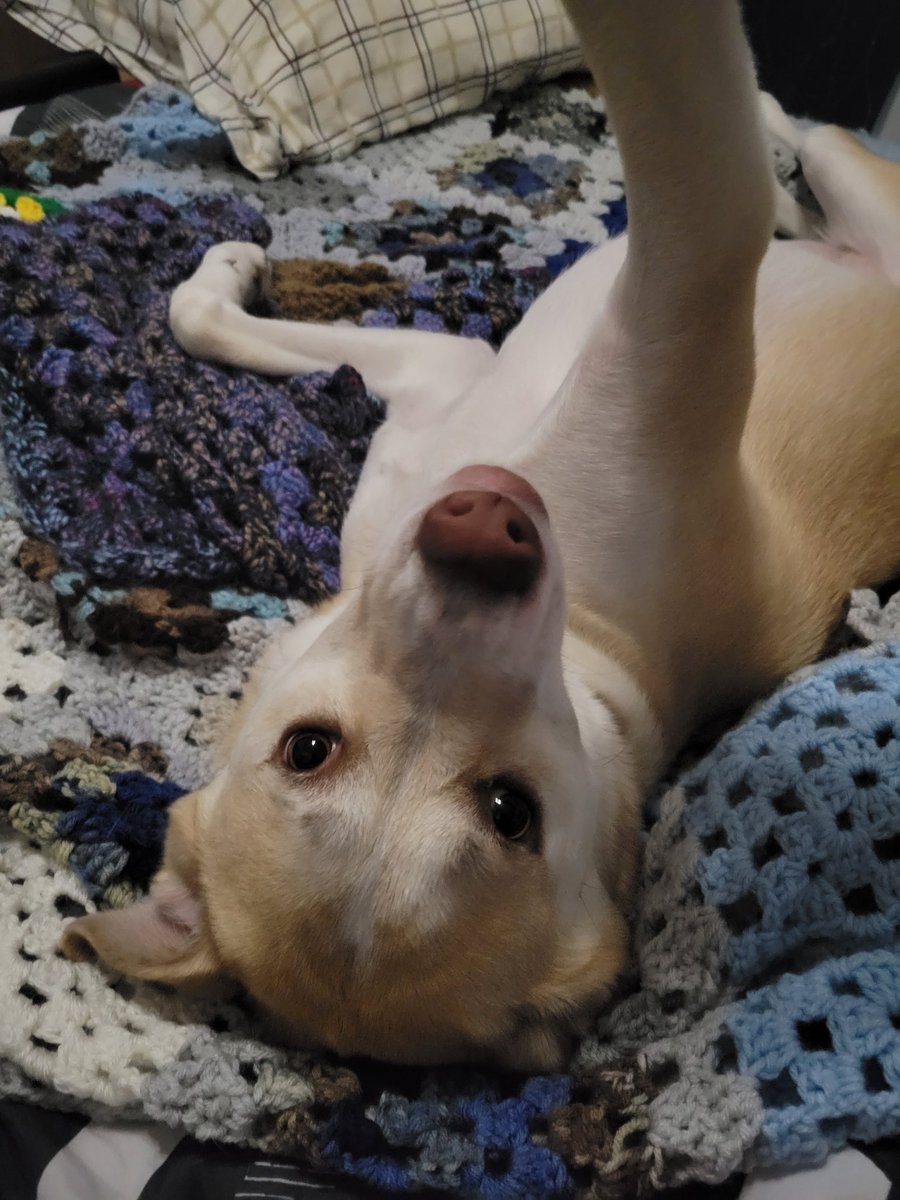 ❤️💜💙Jaxkol 🖤🤍💜 Risky Writes tweet media