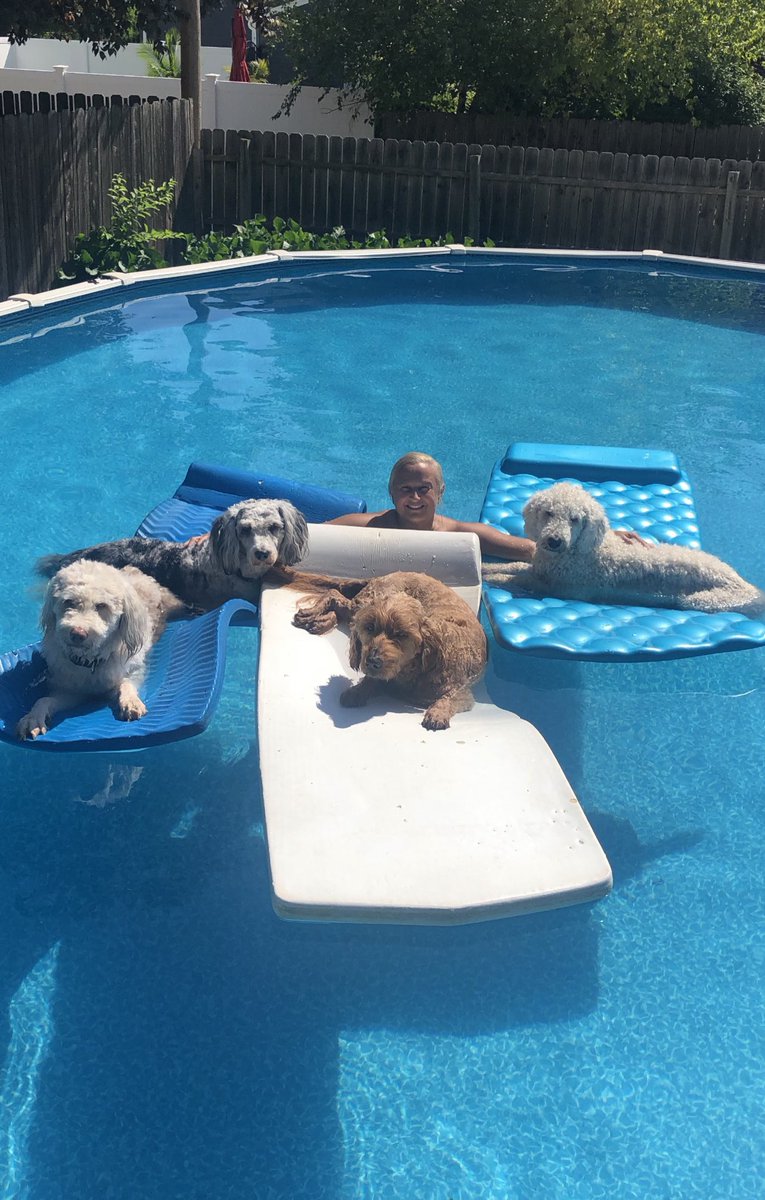 bbooks26's tweet photo. Sad day…27 years of kids, dogs &amp; friends enjoyment! #NoDiving https://t.co/mnZUEc5loQ