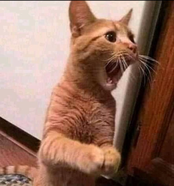 venny_210's tweet photo. @chabaijibran @gallanemma Haaa!! Mbona unajua hivyo,
Umetisha sana. https://t.co/CyOQtyWWrh