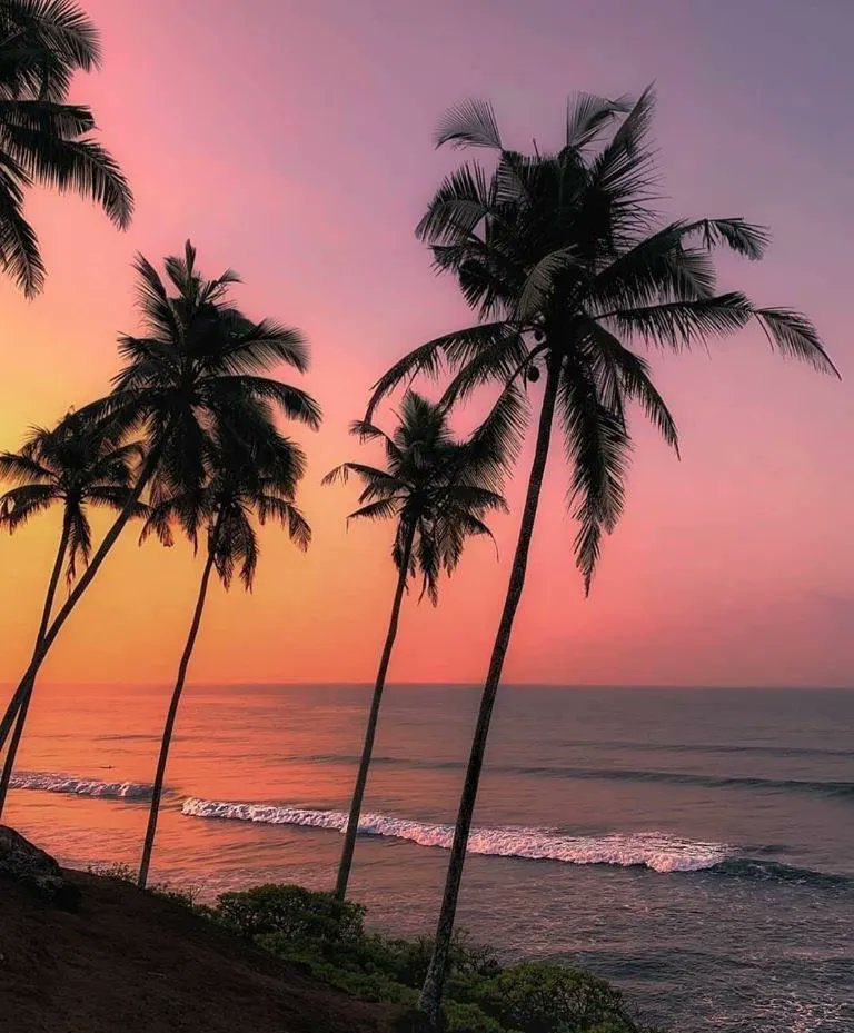 piitures's tweet photo. where I’d rather be https://t.co/MQyPXzoHA2