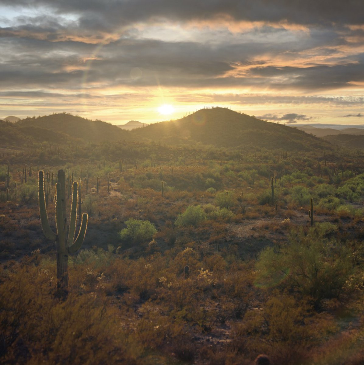🌄🌅 Cherish Cool Sunday Mornings in Peoria! 🌞🍃

Wake up early and savor the tranquility of Peoria's Sunday mornings. Take a stroll, enjoy nature's symphony, or sip coffee with a view. Don't forget your camera to capture the magic! 📸