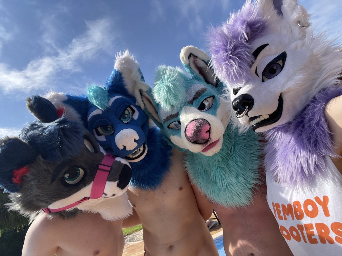 PhillySatark's tweet photo. Pawsitivly enjoying the day around the pool 🌅

@MarMarHusky 
@BropixWuff 
@Minty_Husky https://t.co/byaQkc6yHV