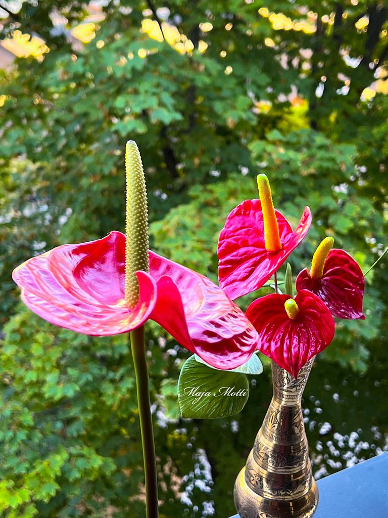 CakesDecor tweet media