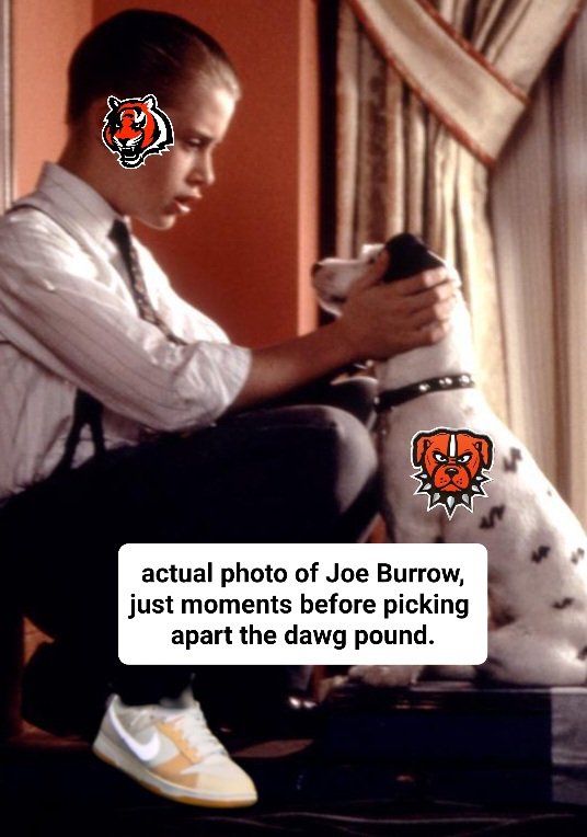 Zach Meiser tweet media