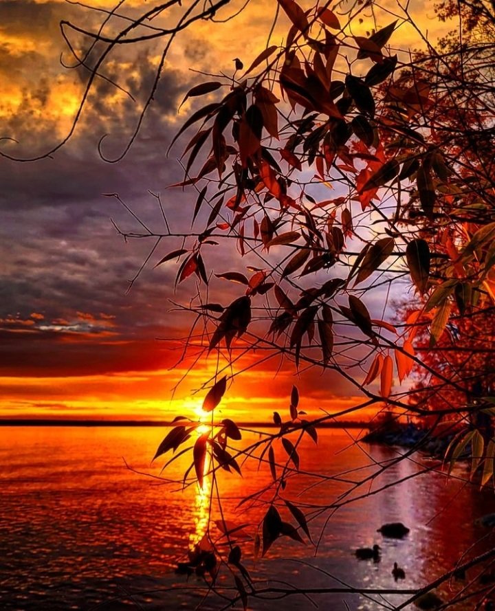 Jutta Streicher 🕊️ tweet media