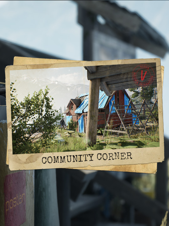 Vigor 🍅🔪☠️ tweet media