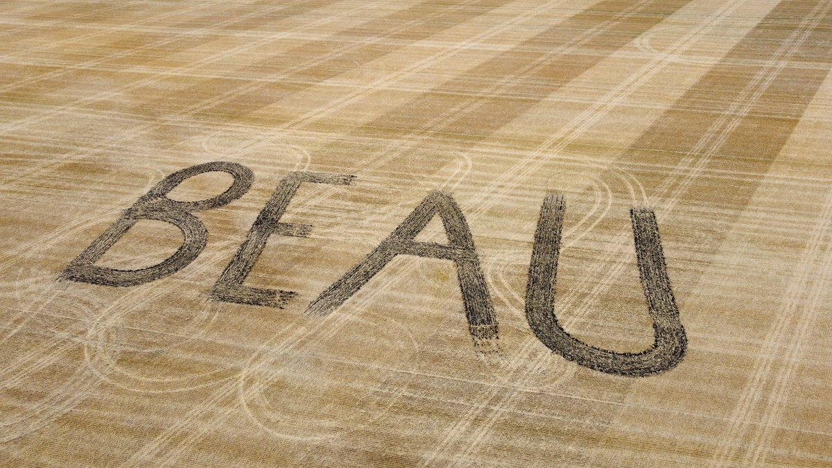 Penner_93's tweet photo. Beau wanted to write his name in the field, we better use autosteer next time! https://t.co/xrVZwXO6RN