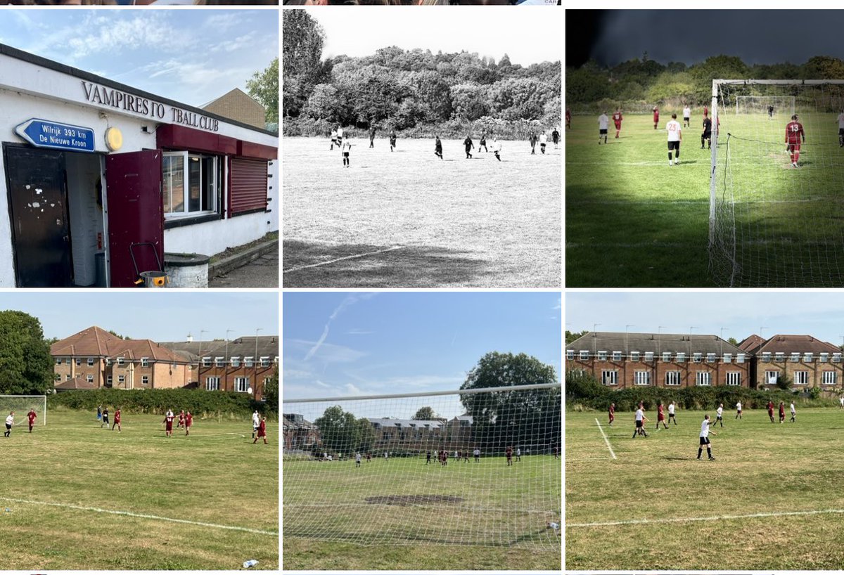 GroundhopperGreg tweet media