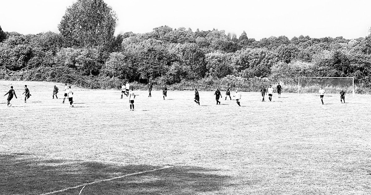 GroundhopperGreg tweet media