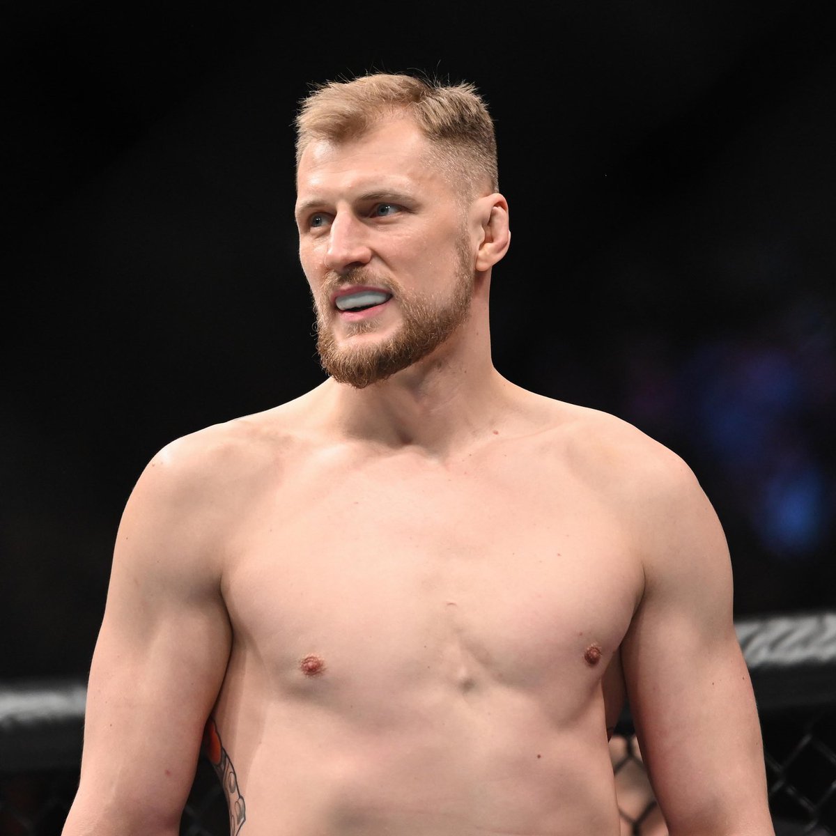mma_orbit's tweet photo. Amongst all the chaos of last night, Alexander Volkov dominated Tai Tuivasa in his own back yard and extended his winning streak to three.

Who should be next for Alexander Volkov?🤔

#UFC293 #UFC #MMA https://t.co/K0B0R5jWWn