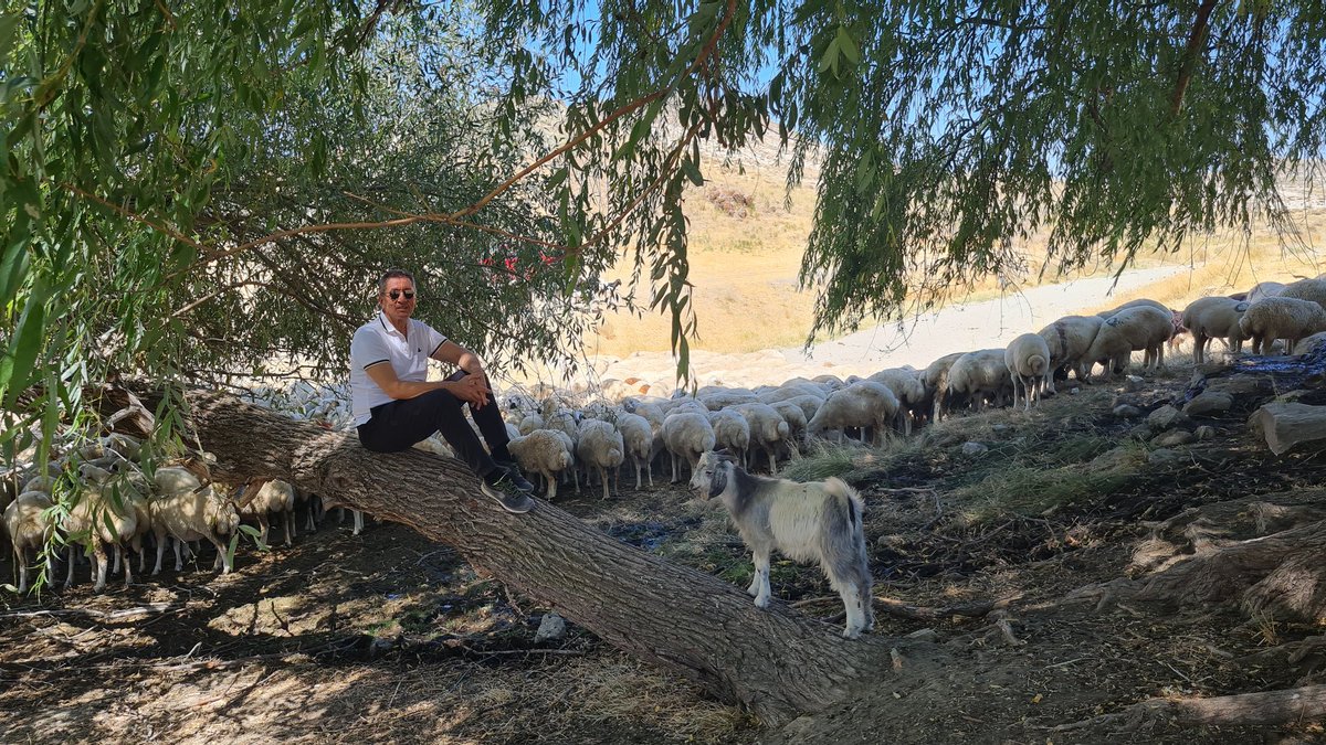 İlkokula beş sınıflı bir köy okulunda başladım. Akranlarımdan yaklaşık iki yaş daha küçüktüm.  İkinci sınıfı bitirdiğimde okuma yazmayı bile bilmiyordum. Sonrası uzun hikâye. Öğrendiğim en yaşamsal şeylerden biri “okula niye gittiğimi” bilmenin önemiydi. Bazen ısınmak için, bazen