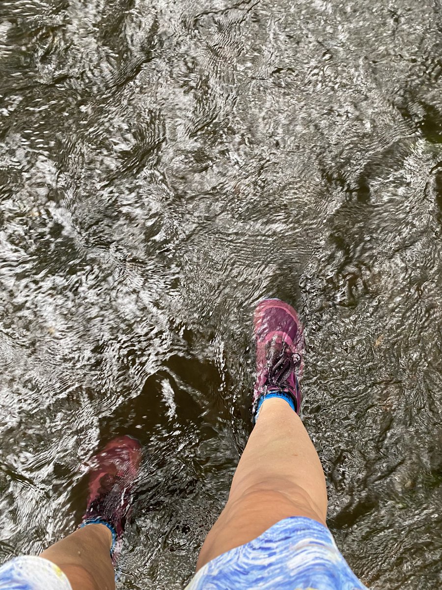 TheOtherLori's tweet image. 13.35 trail miles with water crossings. Haven’t ran the outer loop at Pocahontas State park in a long time. Got poured on &amp;amp; it felt so good. #runchat #runningintherain