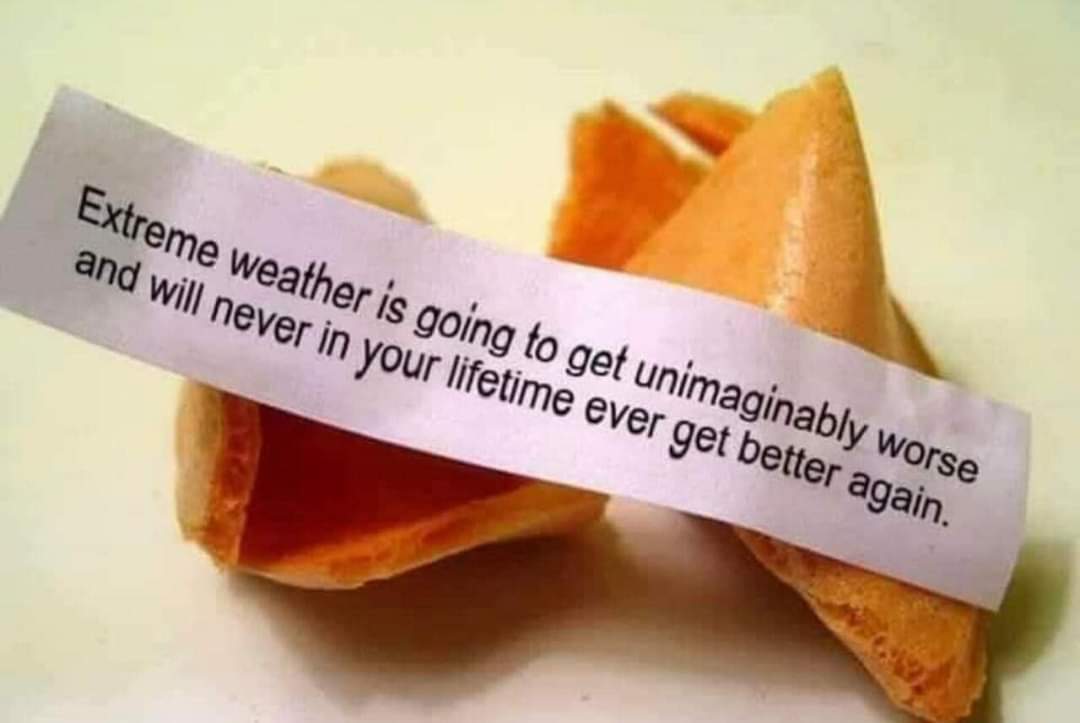 ★☭MassStrikeNow☭★ (@strike_dr) on Twitter photo 