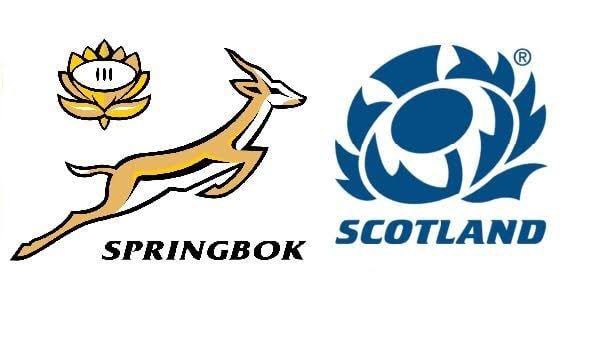 Farmgirlforeve7's tweet photo. Letโs go BoysโฆFirst game #RWC2023 #Springboksfever #StringerTogether We got thisโฆ https://t.co/P5RsU0f4yl