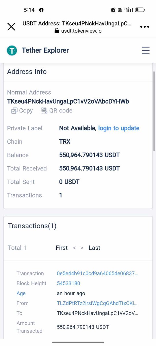 realDanFiji's tweet image. Could be more than $1,000,000 lost by Fijians after rug was pulled on the eBayShop scam a few hours ago. We were tracking the crypto wallets that hold these funds (USDT = USD). To all the ES managers and agents, own up to your deception and lies. Stop blaming me or others - a lot…