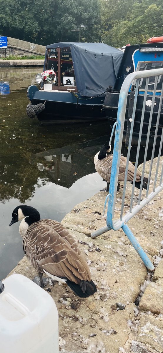 BeckyLowryunit's tweet photo. What a few days our service users have had raising awareness for world suicide week💙finished off with a day trip on a barge and a picnic enjoying the fresh air, nature and taking in the beautiful views💙 @BenStrongGMMH @LisaS823024566 @JosephOgbeide4 @Amy_Lowry_ @the_younggun https://t.co/5ZSxzwGxVE