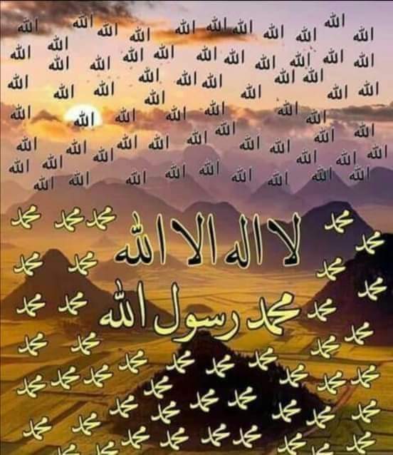 MUHAMMAD HAMID CH (@humidtufail) on Twitter photo 