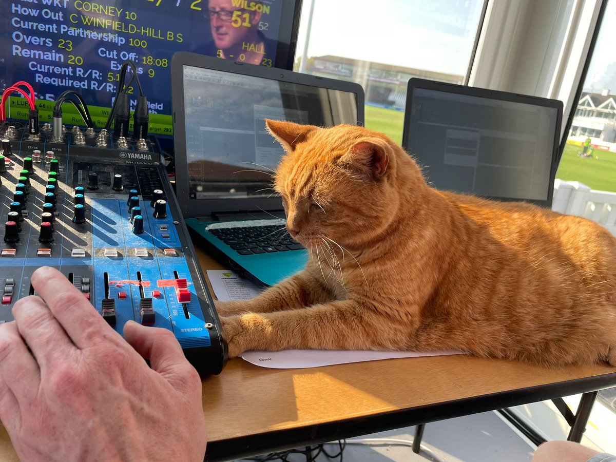 Love helping with the tunes here at the CACG 🙌 

#WeAreSomerset 
#StormTroopers