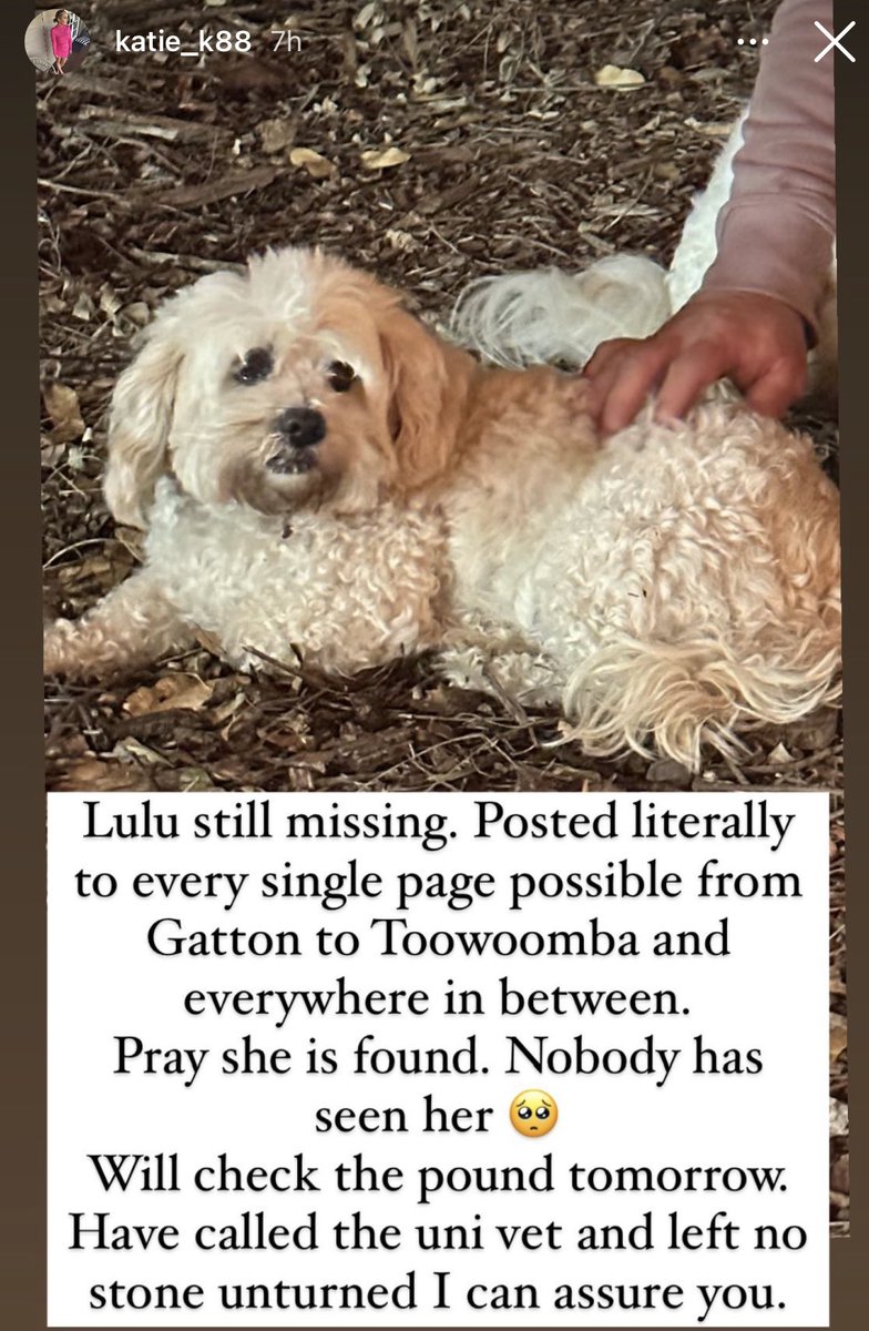 Anyone in #QLD #Toowoomba #Grantham areas of #Aus My sisters eldest dog is missing since Friday evening &amp; was last seen in the Grantham area. Please share if you live or know anyone in those areas. 🙏🏻 if anyone can think of relevant accounts to share this to/tag that would help 2