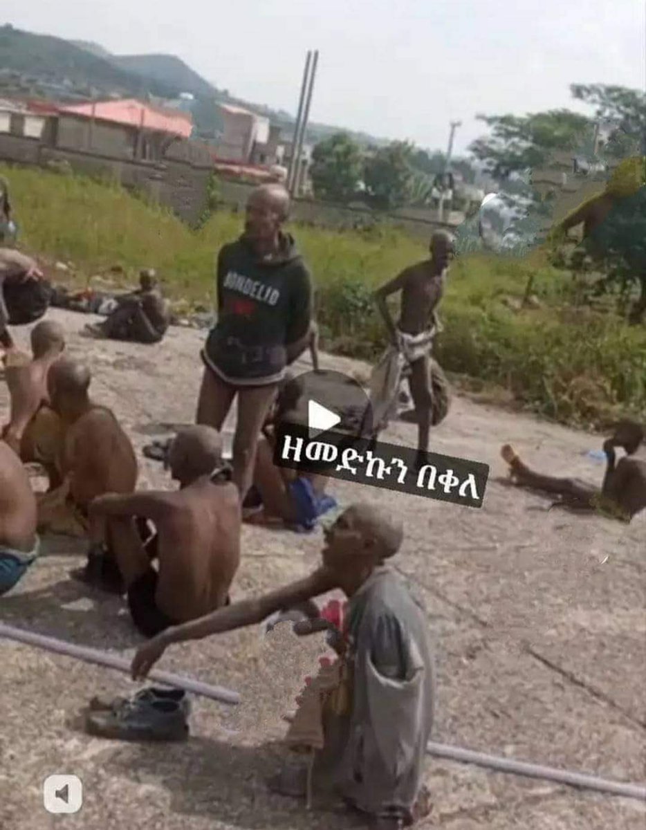 debebeSJ's tweet photo. Does the world ever seen people with such dire physical conditions before? Yes, that was seen in the Auschwitz death camps of Nazi Germany. However, these👇 are pictures taken in the concentration camps people have been incarcerated because of their Amhara Identity by the fascist forces of @AbiyAhmedAli. Is the silence on #AmharaGenocide not enough? 
@AJEnglish @guardiannews @foxnewspolitics @HouseForeign @HouseForeignGOP @Julius_S_Malema @WilliamsRuto @Jerusalem_Post @elicoh1