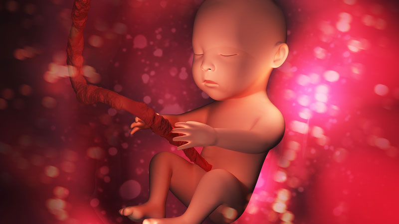 LifeNewsHQ's tweet photo. Scientists Confirm Unborn Children Feel Excruciating Pain During Abortions https://t.co/jiMWIVlc4m https://t.co/f81Lvi7l2q