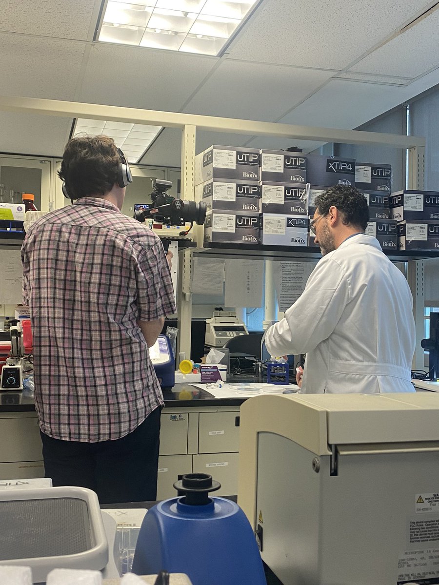 ToledoLabRU's tweet photo. Fun day in the lab today as we got to show some of our work to students filming a report on one of the lab’s ongoing projects! 🥼🎥 #Rutgers #RutgersEntomology https://t.co/rStCimKko0