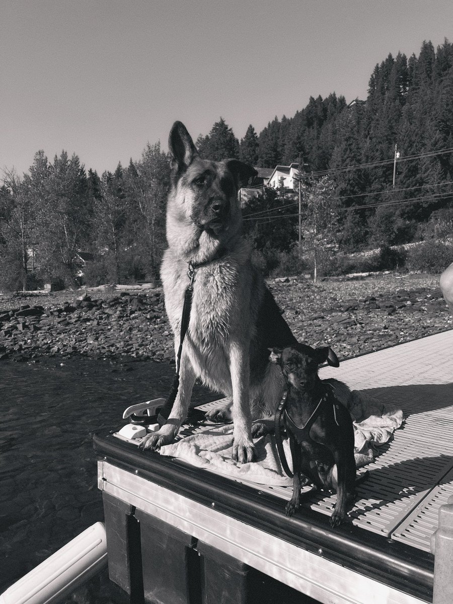 A Fairy Pot Mother tweet media