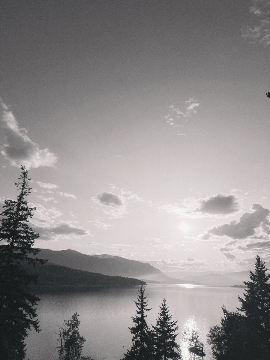 A Fairy Pot Mother tweet media