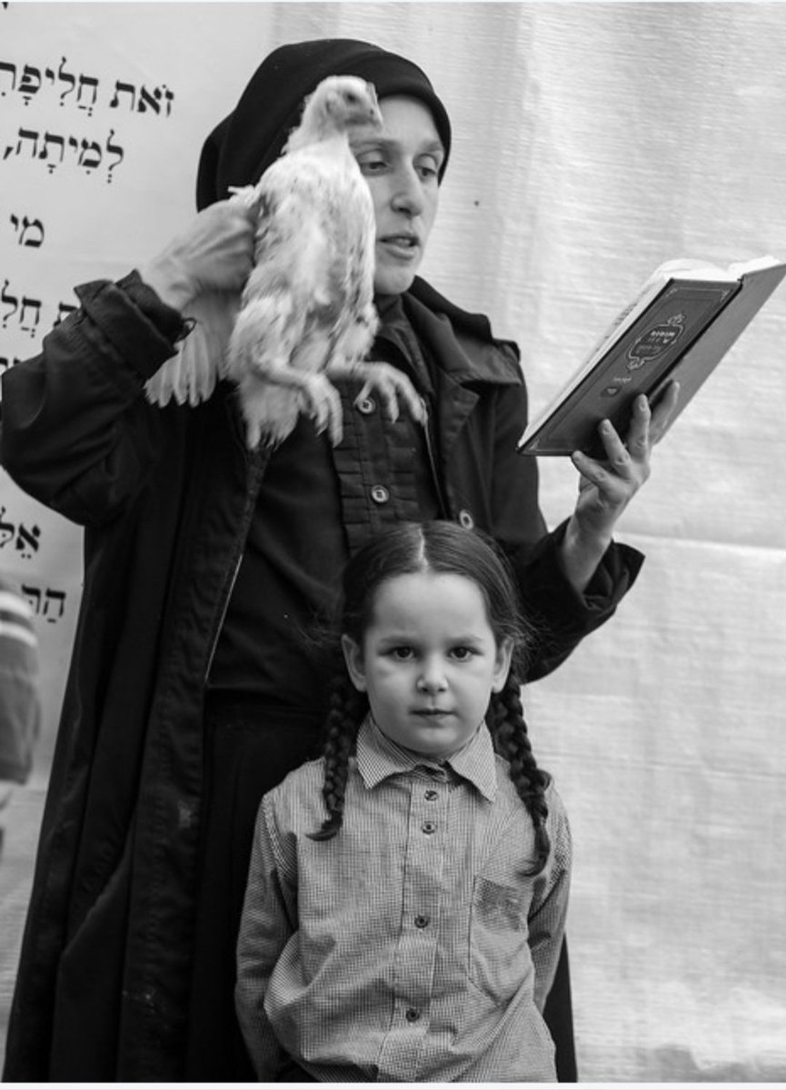 Kalonymus tweet media