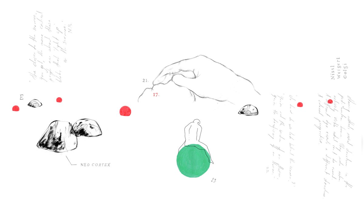 FLYING ANIDOC AWARD: Beautiful Figures, Soetkin Verstegen, BE/CH 2022