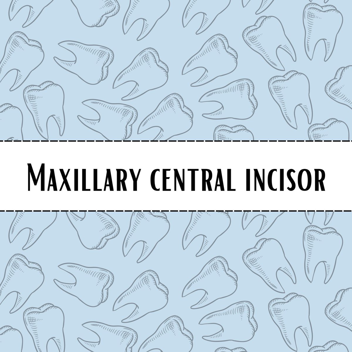 Dent223_IAU's tweet photo. Today was our last morphology lab session for practicing on the maxillary central incisor.
Students of #DENT223…..
Show us your artwork 🦷🌟 https://t.co/rlVbgDH5Wj