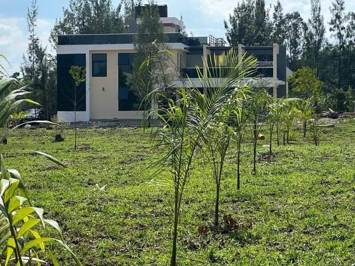 Whoever challenged the LUOS to build back home shuld tell them it was never that serious.

BWANA the kind of castles &amp; haciendas that are being brought up in lakeside region is out of this world.

As for me &amp; my house we are counting on Your Govt through Ruto to build us one....