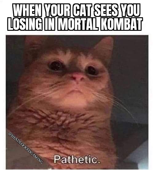 HeadlockdGaming's tweet image. Mortal Kombat 1 is only days away!!! It is almost time!🐉
#ItsAlmostTime #MortalKombat1 #MortalKombat #mkkollective