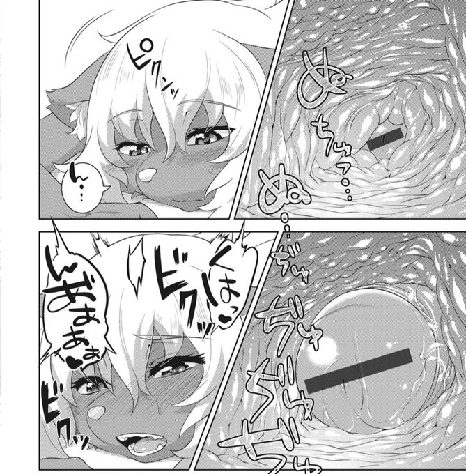 例えば、んめ先生の獣見世物所嫌わずのドロちゃんの腟内カメラアングル
ほらエロい!!(語彙力)
いいよね!!! 