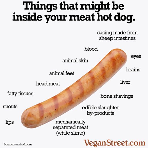 Why eat animal brains when you can just eat plants instead? 🤢🌭 #NationalHotDogDay

📷: Vegan Street