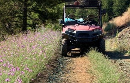 salmonchallisnf's tweet photo. Post Fire Invasive Species Control on the #MooseFire
The Invasive Species Program is treating noxious weeds with ground-based treatment after last year’s Moose Fire.
Ground-based treatments began in June and are focused on treating weeds along roadsides and dozerlines. https://t.co/HSRw5A4Ak9