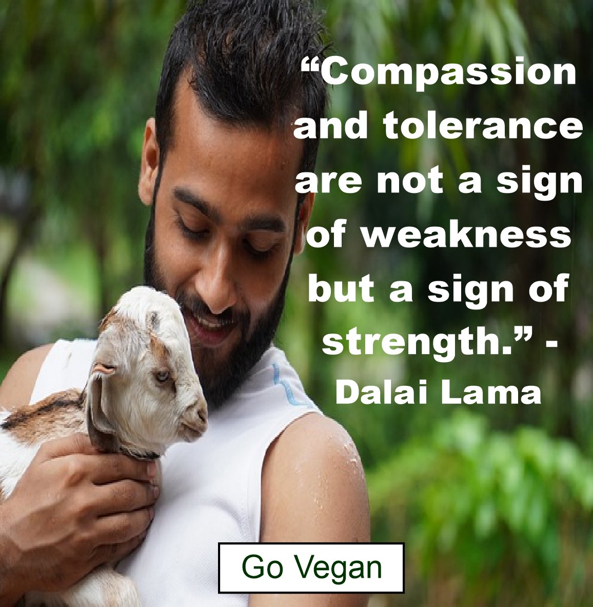 #bekindtoallkinds #quotes #kindness #compassion #strength #animals #vegan #changetheworld